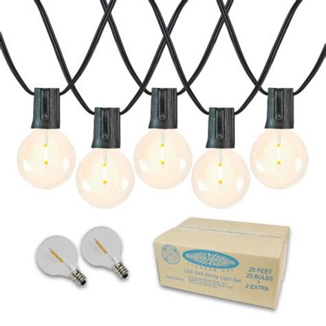 Outdoor String Lights 25 Feet G40 Globe LED Patio .